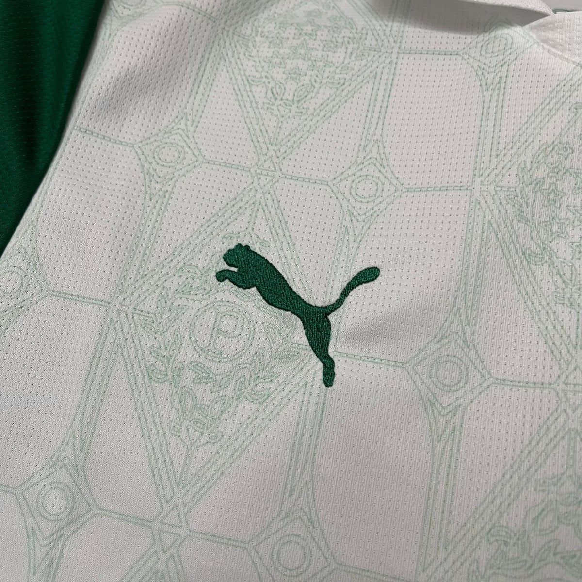 Camisa Puma Palmeiras II 2025 - (Feminina)