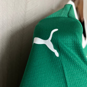 Conjunto Infantil Puma Palmeiras 2025/26 I